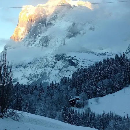 Апартаменты Pfingsteggblick Гриндельвальд