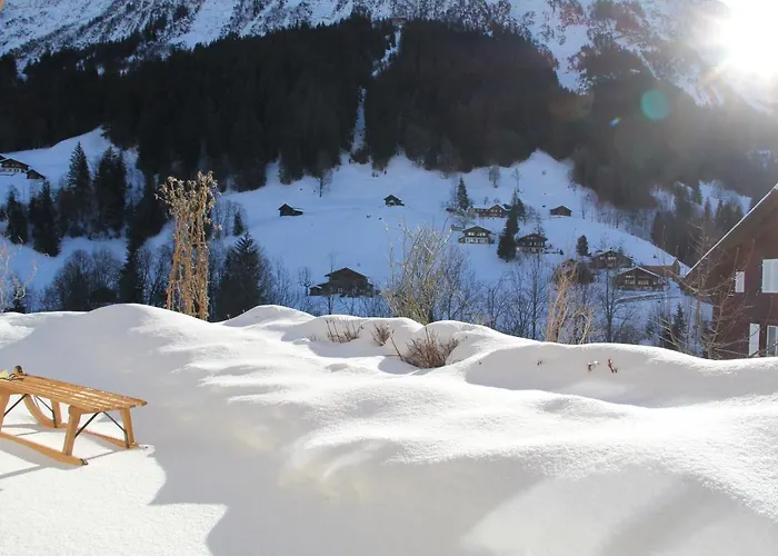 Apartment Pfingsteggblick *