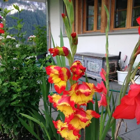 Pfingsteggblick דירה גרינדלוולד