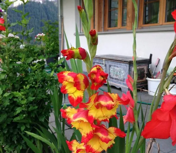 Pfingsteggblick Apartment Grindelwald